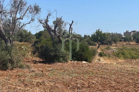 Ruinere i Carovigno, Brindisi, Carovigno - € 385.000 | Ref: Proprietà Pinea - foto 27